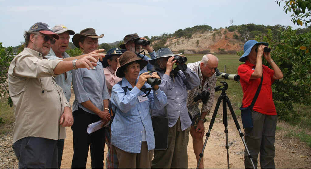 CAUGHT ON FILM: Birdwatchers spot a species of interest at Kinka Wetlands ahead of BirdLife Australia’s National Campout. CAUGHT ON FILM: Birdwatchers spot a species of interest at Kinka Wetlands ahead of BirdLife Australia’s National Campout.